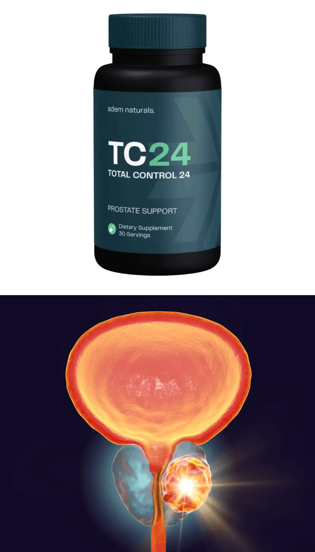 tc24 supplement